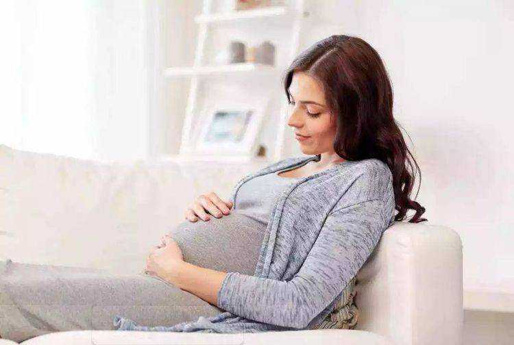 上海正规民营借卵机构排名前十,附试管代怀生子医院排名一览?,代孕网公司